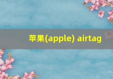 苹果(apple) airtag